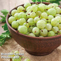 Gooseberry-Amla