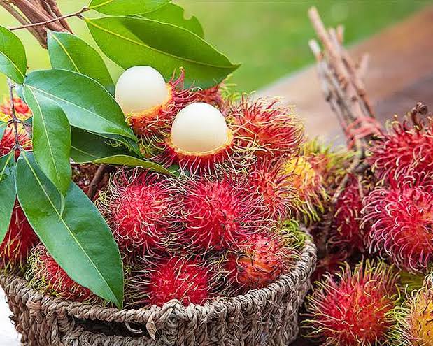 Rambutan